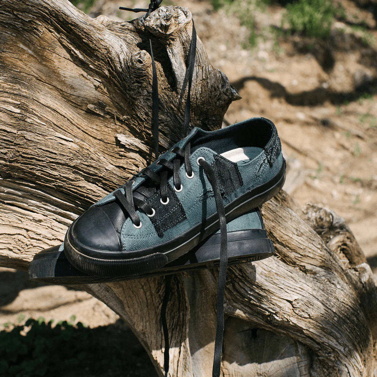 All-American Low-Top 14, Deep Green/Black - Image 5